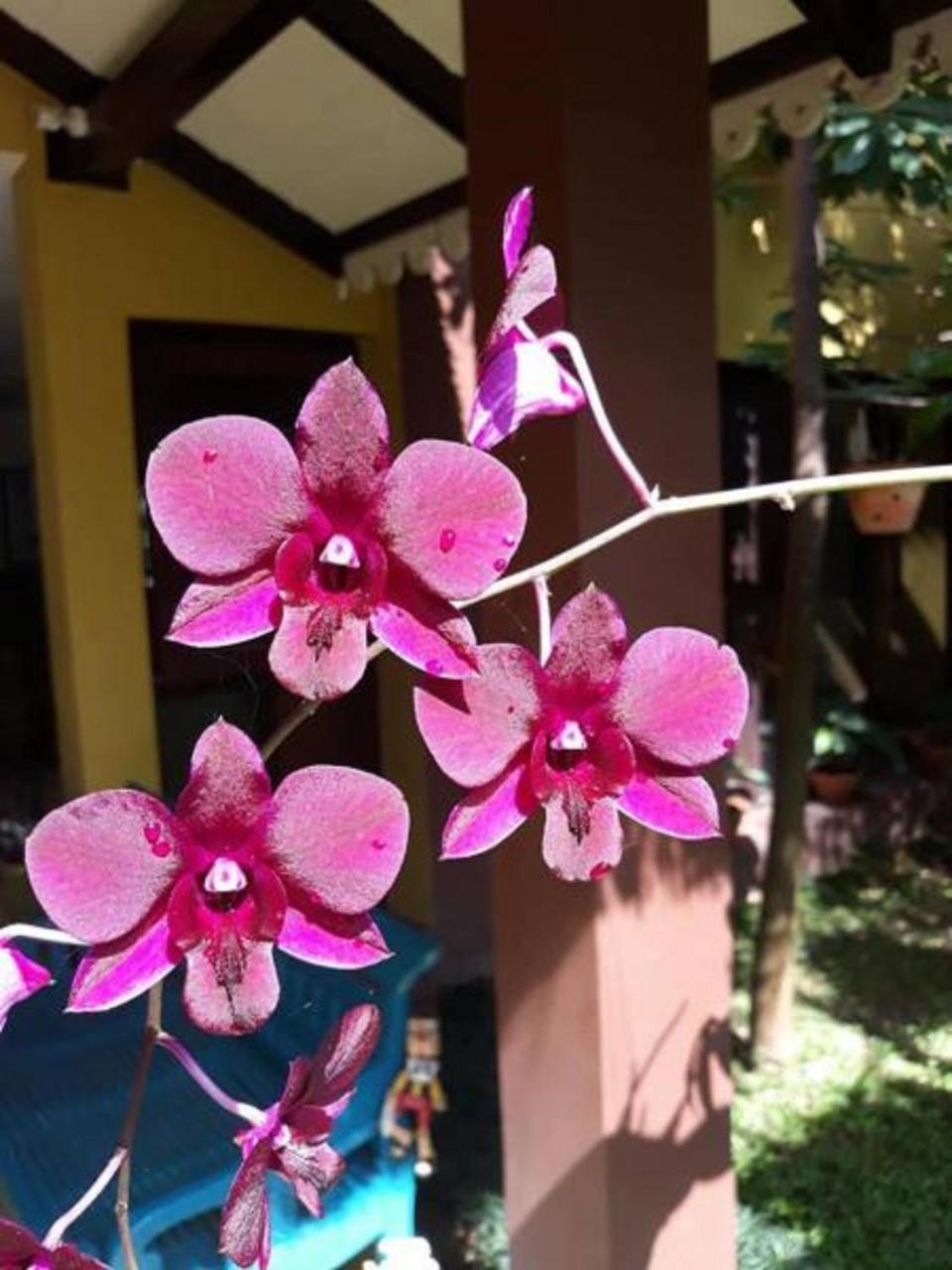 Thanakha Inle Hotel Nyaung Shwe Extérieur photo